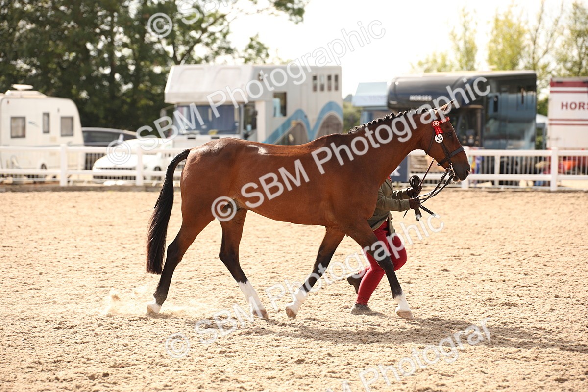 SBM_08164 - Class 27 - IH Competition Horse-Pony