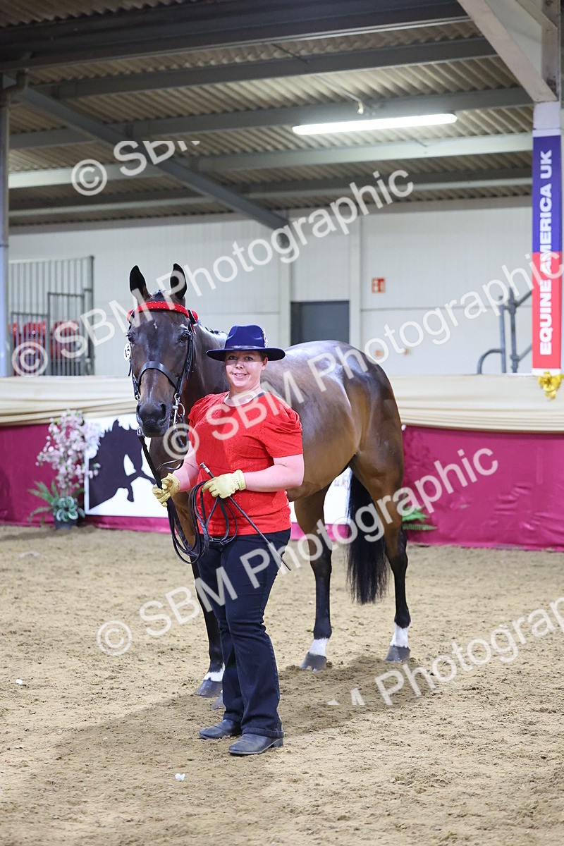SBM_19175 - Class I Competition/ Riding Club Champ