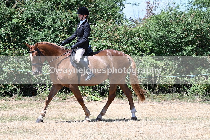 WJ7_2761 - Class 7 Riding Club Show Horse