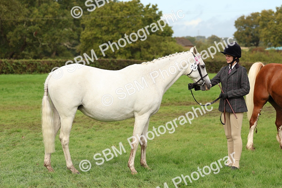 SBM_39321 - S24 - Young Veteran In Hand