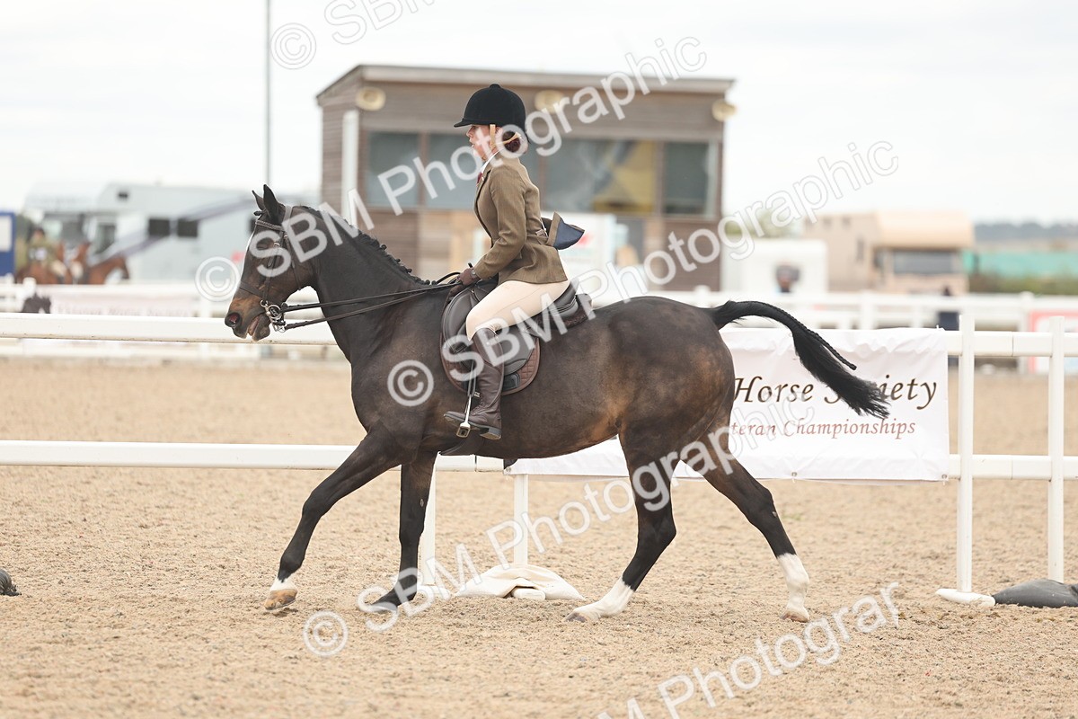 SBM_19154 - Class 316 - Best Pony-Rider Combination