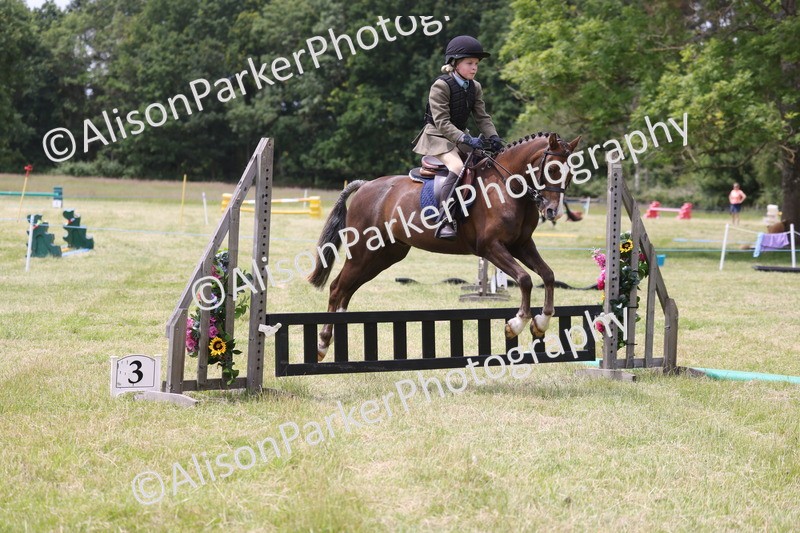 20260614-2846 - Class 22 - Open Working Hunter