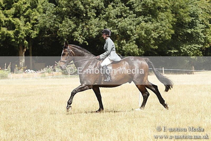 _BS_0769 - BVRC Show 2018 Ring 1