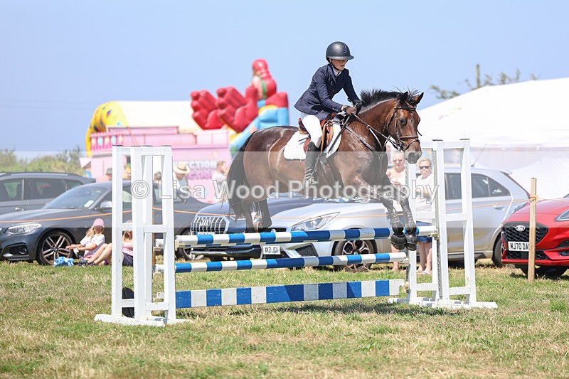 3E7A4447 - Class 10: Senior British Novice/90cm open