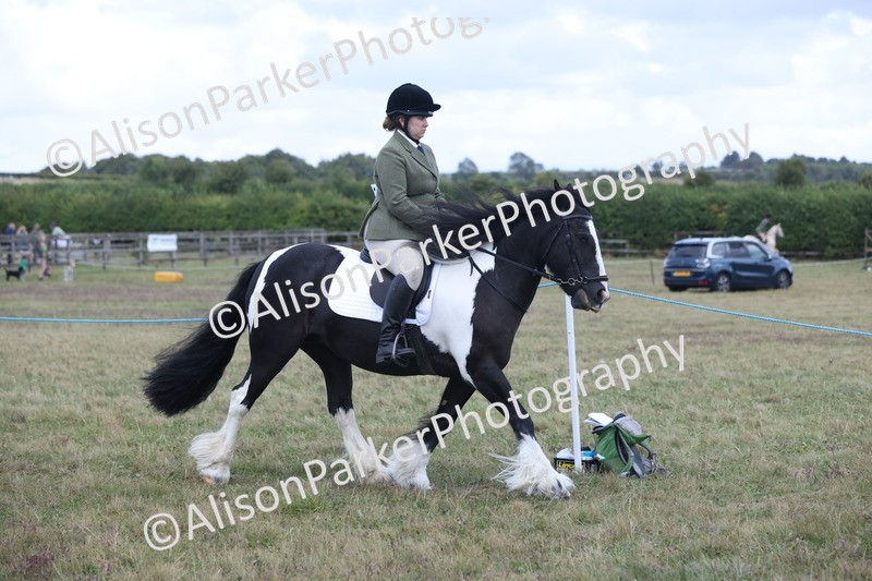 20250831-4208 - Class 20 - Ridden Coloured