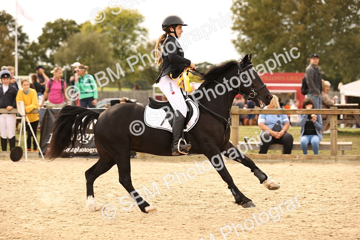 SBM_70869 - J13 - Junior Pony 60cm Championship
