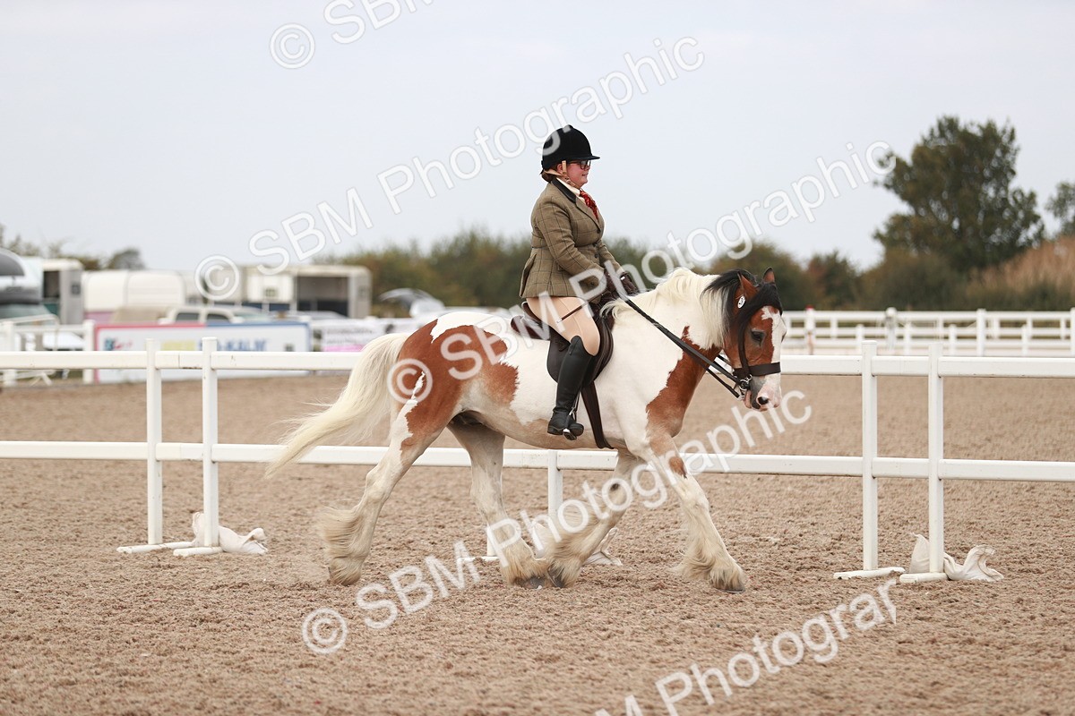 SBM_16621 - Class 214 Ridden Cob