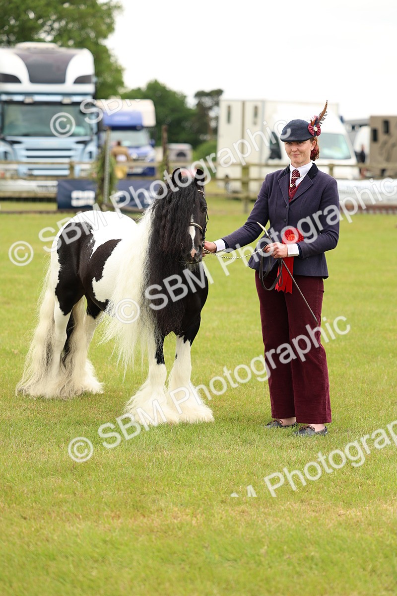 SBM_06304 - Class 39-41 TGCA In Hand and Ridden