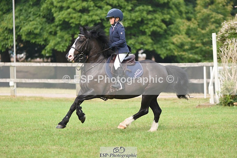 230618-092602-08934 - Cls 27 Cats & Pipes 128cm & 138cm