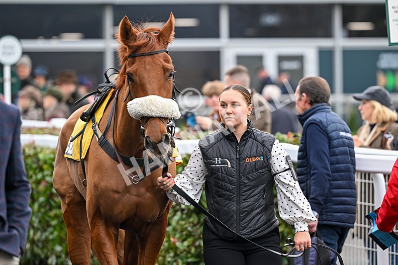 151125-Race 1-One Horse Town-1734 - Race 1
