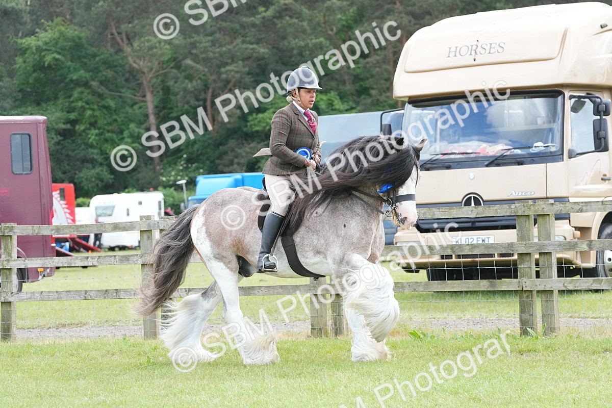 SBM_17698 - Class 107-108 - LIHS BSPS Performance Coloured Horse Pony