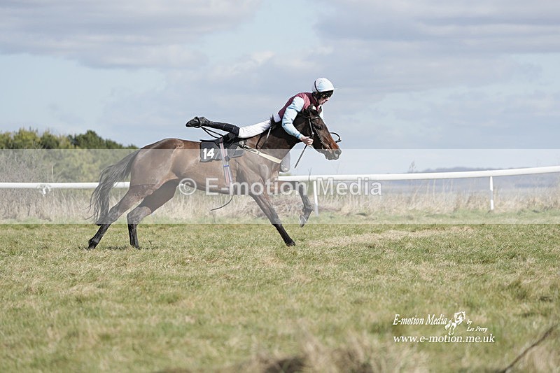 PtP 260223 478 - South & West Wilts Point-to-Point Larkhill 26/02/23