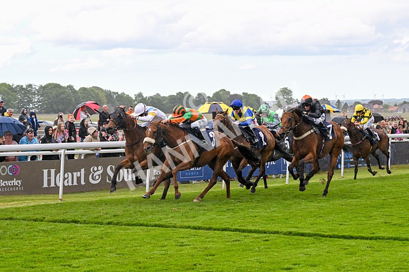 280525-Race 5-Hostelry-5614 - Race 5