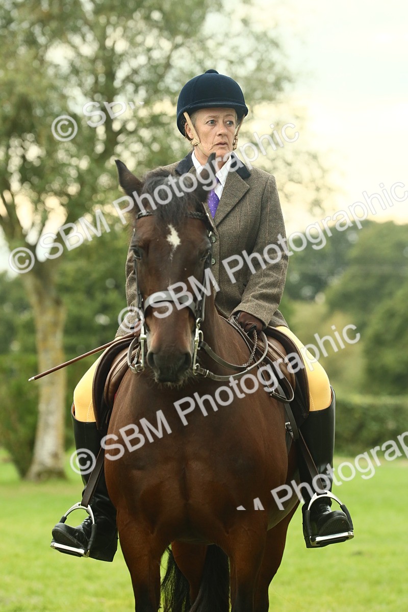 SBM_72275 - S60 - Mountain & Moorland Ridden Large Breeds