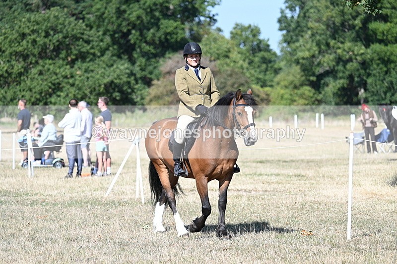 WJ7_3513 - Class 9 Mountain & Moorland Ridden
