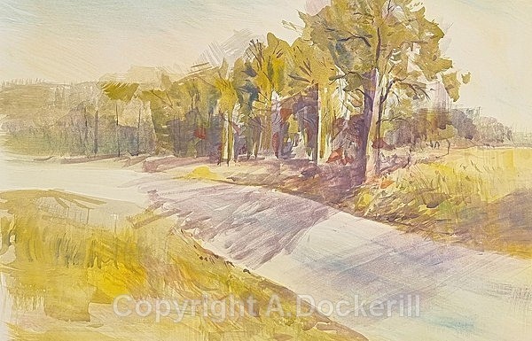 Trees Norfolk - Sketches