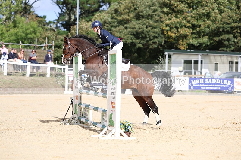 3E7A1991 - Class 4: Senior British Novice/90cm open