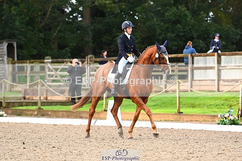 231021-090241-12746 - 322-BALLYBOLGER.LIONMAN-Sarah.Perry-DR