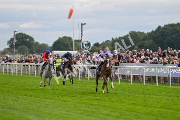 210825-Race 4-Minnie Hauk-4670 - Race 4 3.35pm Pertemps Network Yorkshire Oaks