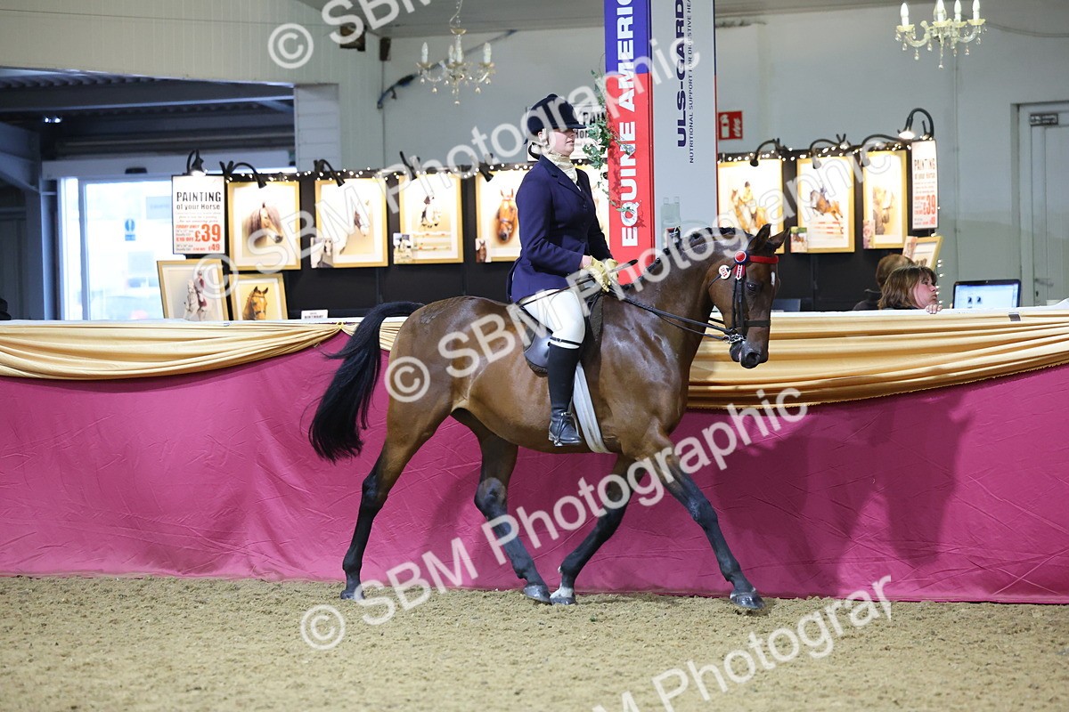 SBM_18998 - Class G Ridden Pony Champ