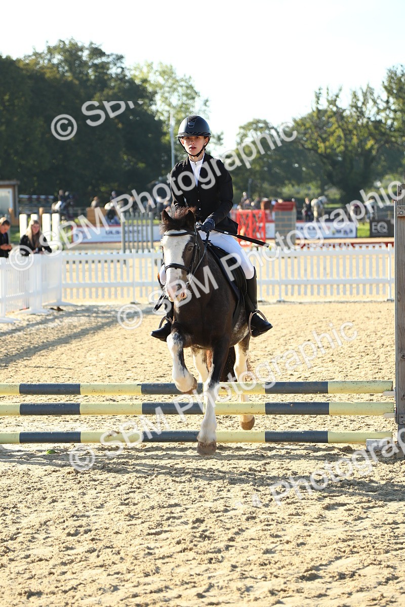 SBM_35016 - J5 - Junior Pony 50cm Championship