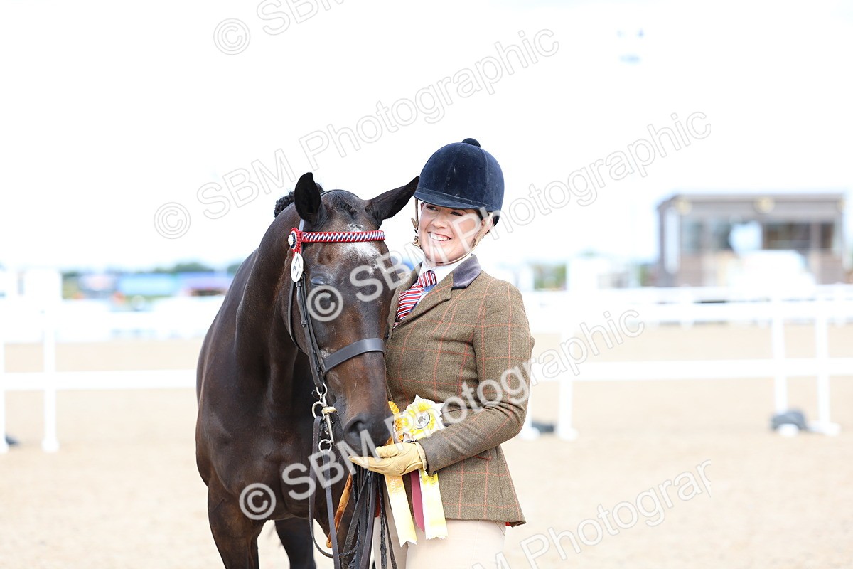 SBM_15299 - Class 313 - IH Retired Racehorse
