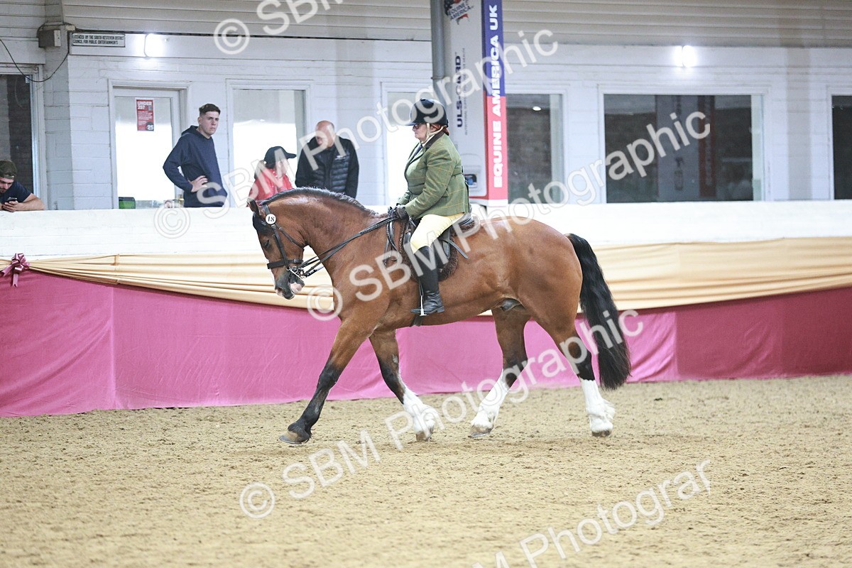 SBM_08944 - Class 12R - Regional Ridden Pre-Vet