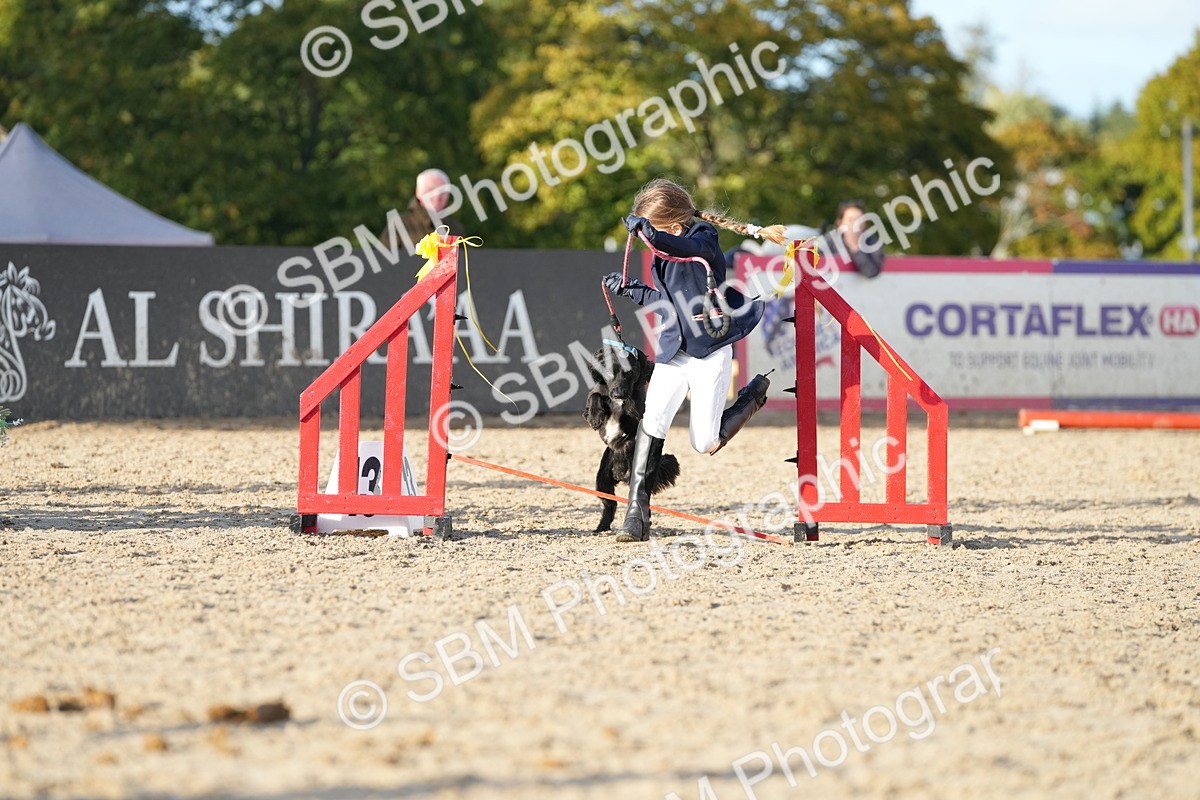 SBM_29394 - J44 - Horse & Hound Open 70cm