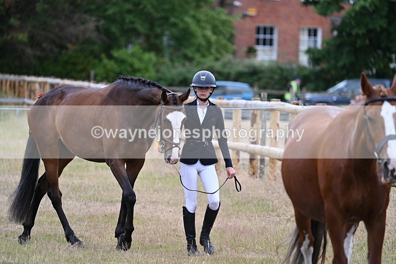 WJ7_9040 - Class 4a Prettiest Mare 14.2hh and over