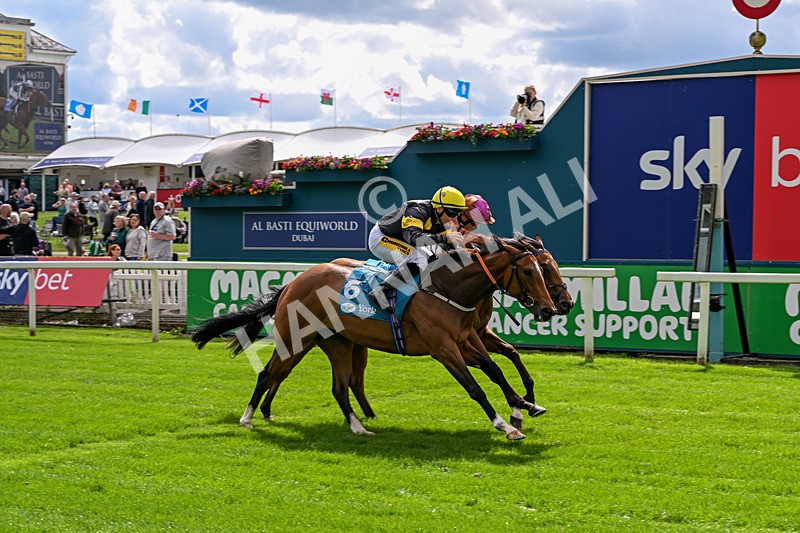 120626-Race 4-Big Negotiator-7534 - Race 4 15.35pm Juddmonte EBF Fillies' Restricted Novice