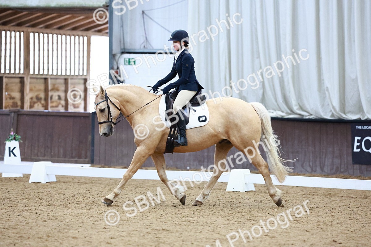 0B8A8283 - Class 5 - Novice 2