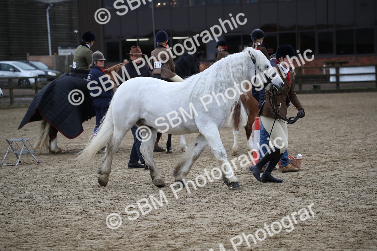 SBM_006176 - Class 10-13 - RIHS Small Large Breeds