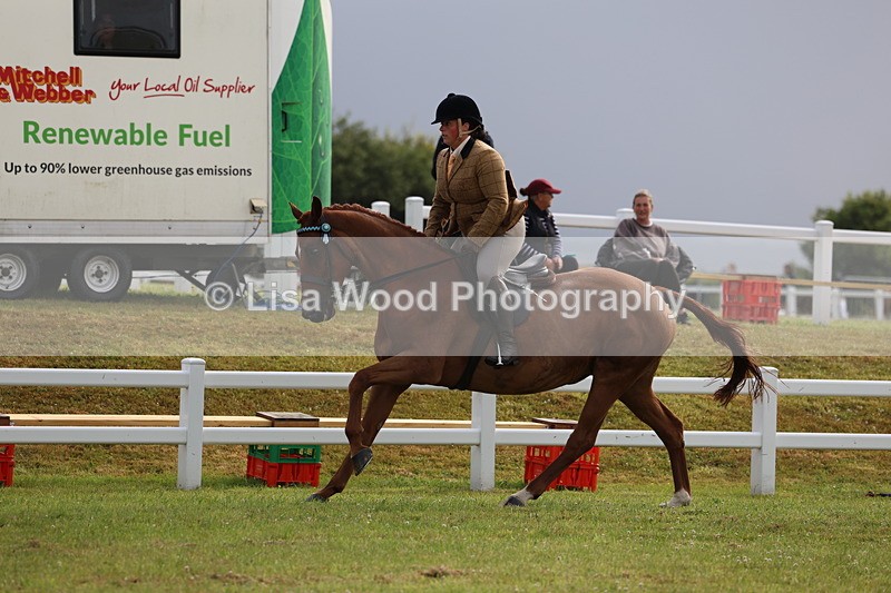 3E7A8112 - Class 2: Rising Star Large Hack/Riding Horse