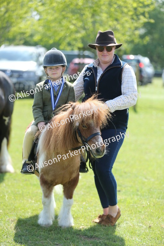 20250427-2789 - Class 6 - Pony Judge Would Most Like To Take Home