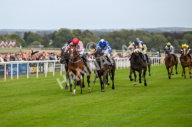 250824-Race 6-Lerwick-3797 - Race 6