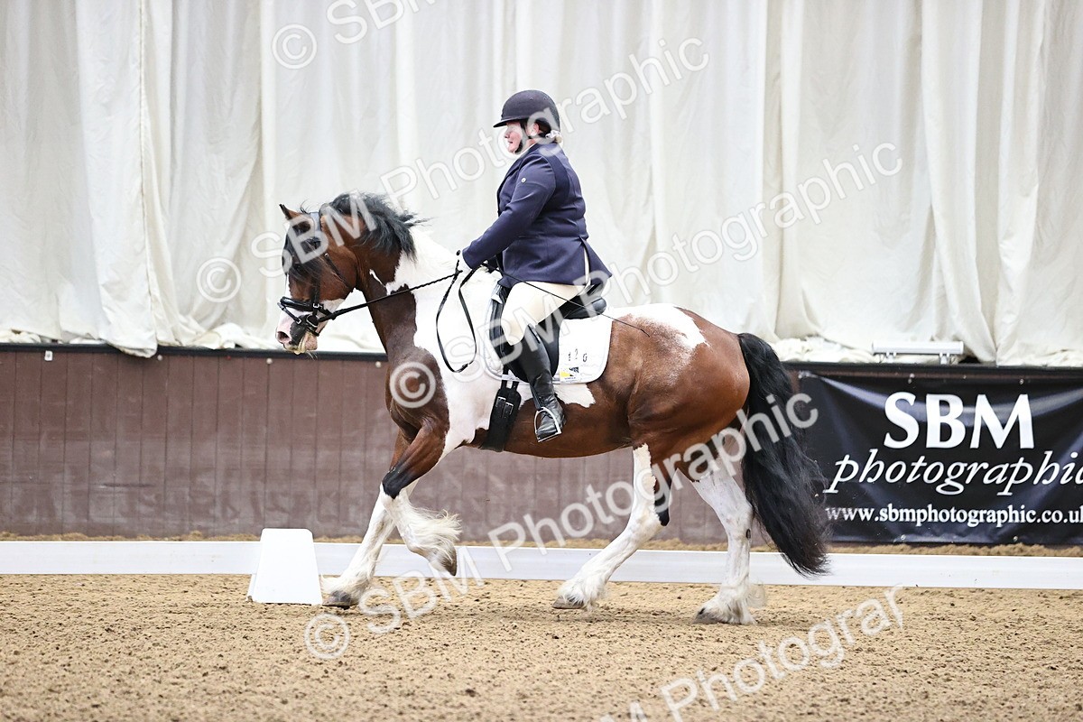 SBM_000482 - Novice 4 Warm Up