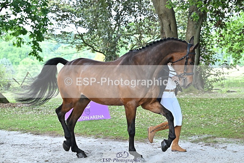 250521A-170255-01489 - C-281-Holly.Morris-NADIR.DE.LEAU