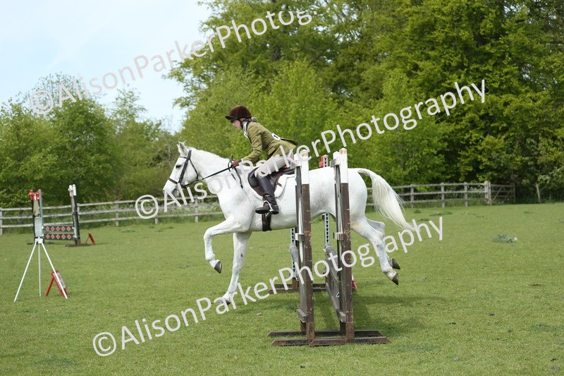 20260426-2075 - Class 15 - Absolute Novice 70cm