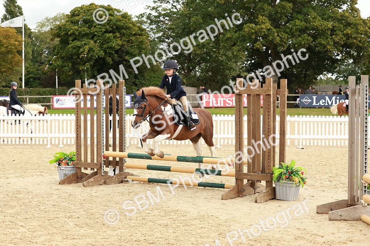 SBM_66972 - J13 - Junior Pony 60cm Championship