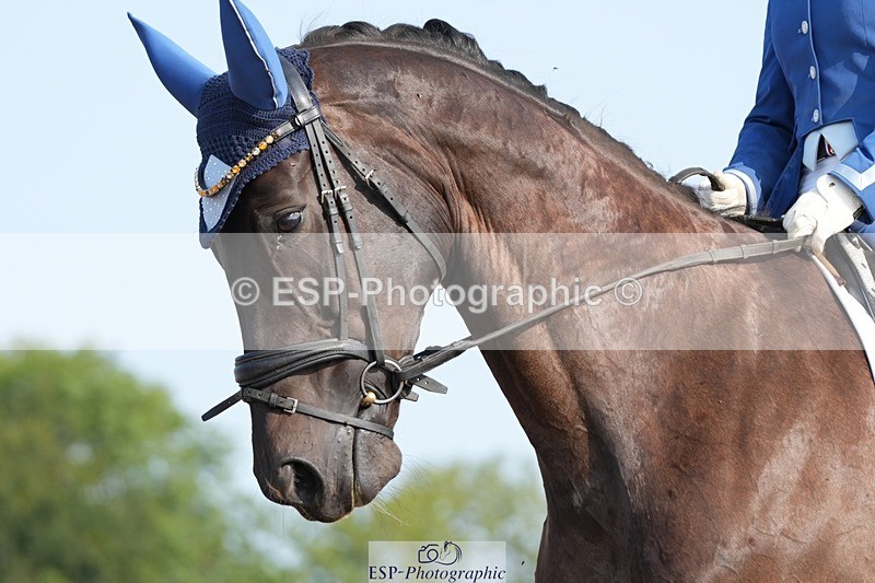 250815-092718-00109 - 002-Katie.PowellSantonio