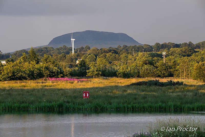 Slemish Mountain from The Ecos - County Antrim