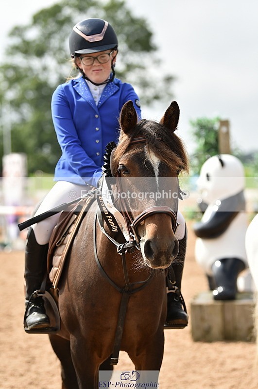 230902A-120352-00914 - Cls 2B Pony Small 80cm