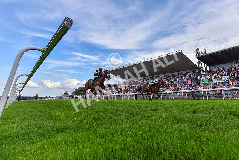 300826-Race 7-Marbuzet-6770 - Race 7 5.05pm Napoleons Casino And Restaurant Hull Apprentice Handicap