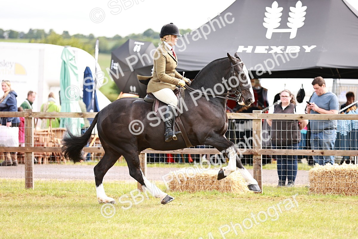 SBM_13087 - Class 85-87 - RIHS Cobs