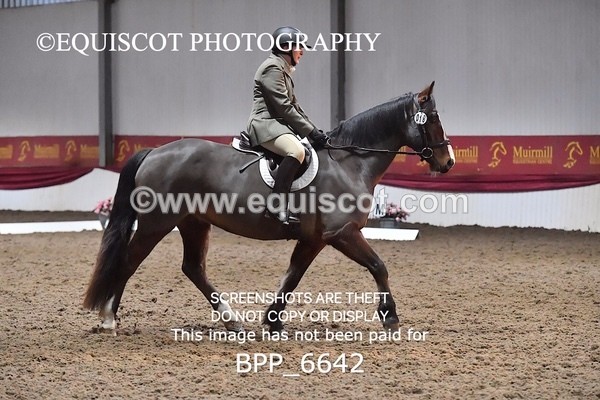 BPP_6642 - CLASS 1 INTRO TEST 2