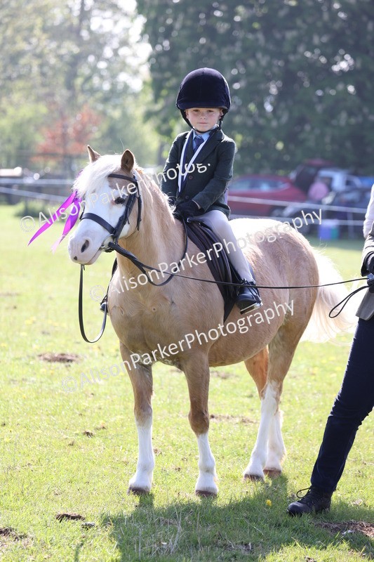 20250427-0213 - Class 30 - Tiny Tots Lead Rein