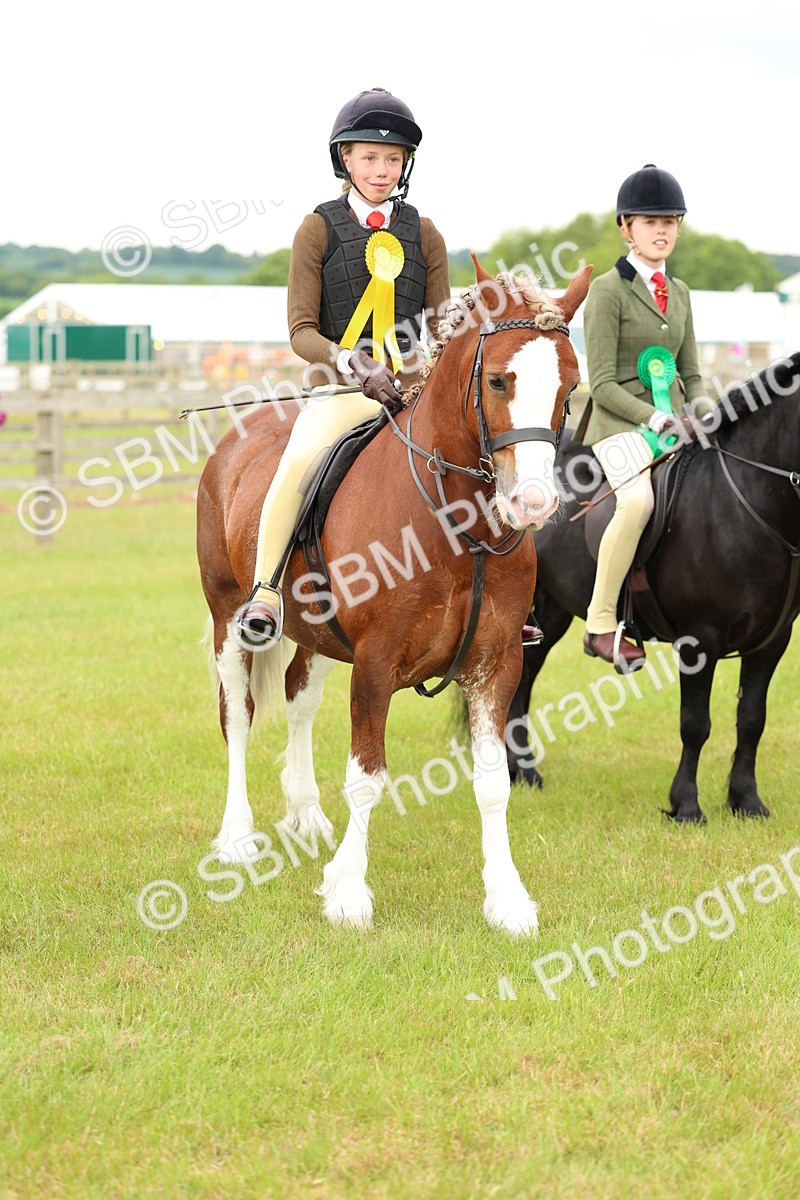 SBM_10407 - Class 44-45 - LIHS BSPS Open Nursery and Cradle Stakes