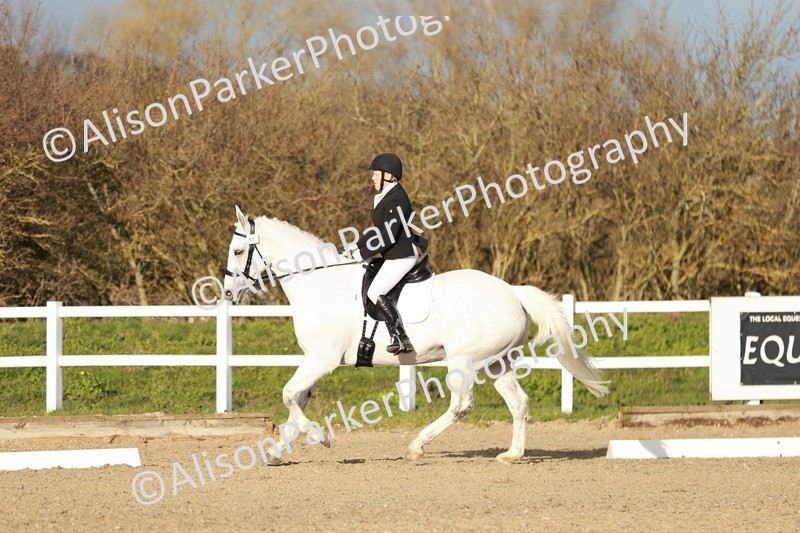 20260314-6278 - CT7 - Elementary 2