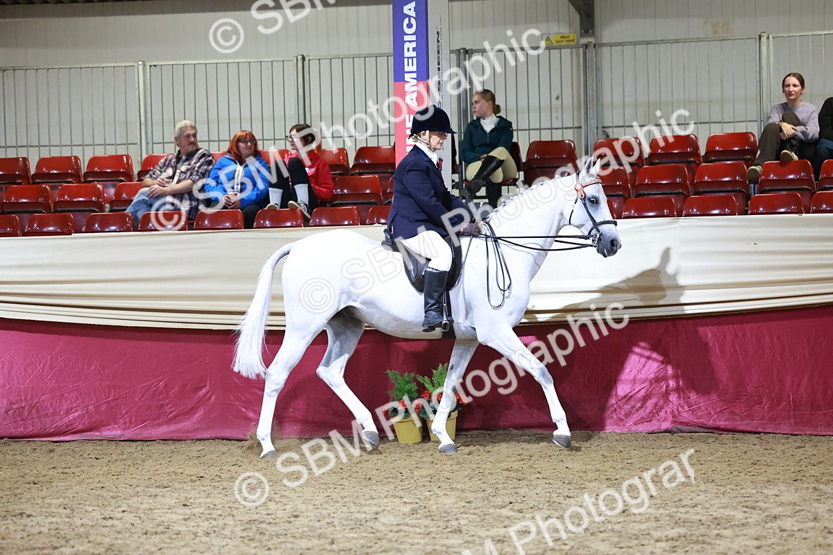 SBM_21135 - class Q - Ridden Horse Champ