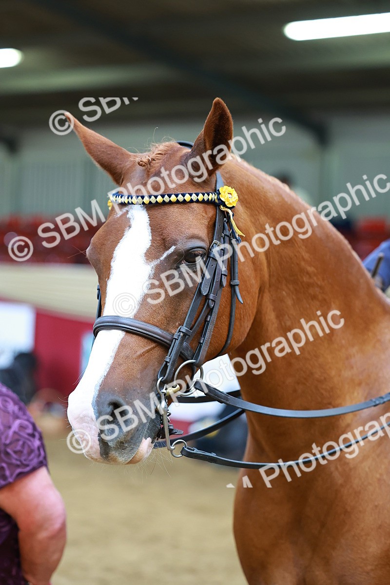 SBM_20153 - Class 906 - Sup Final Ridden Champ